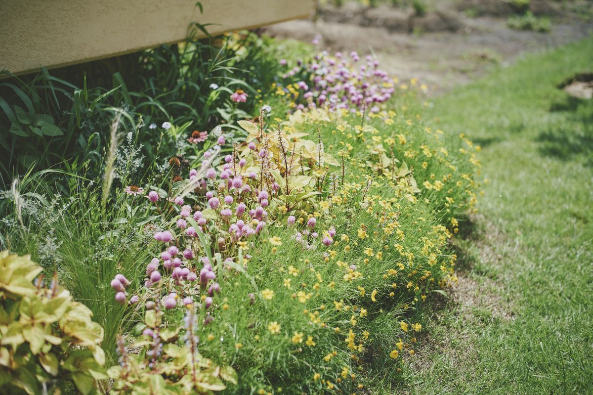 花の家 / HANA SEASON